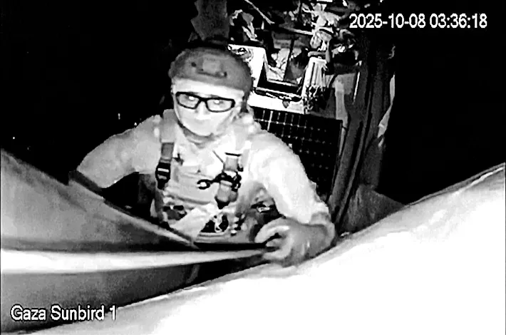 article_22272464.webp