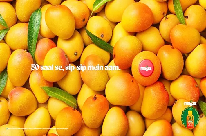 article_63515255.webp