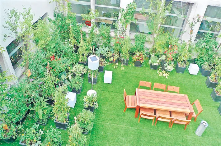 article_76470613.webp